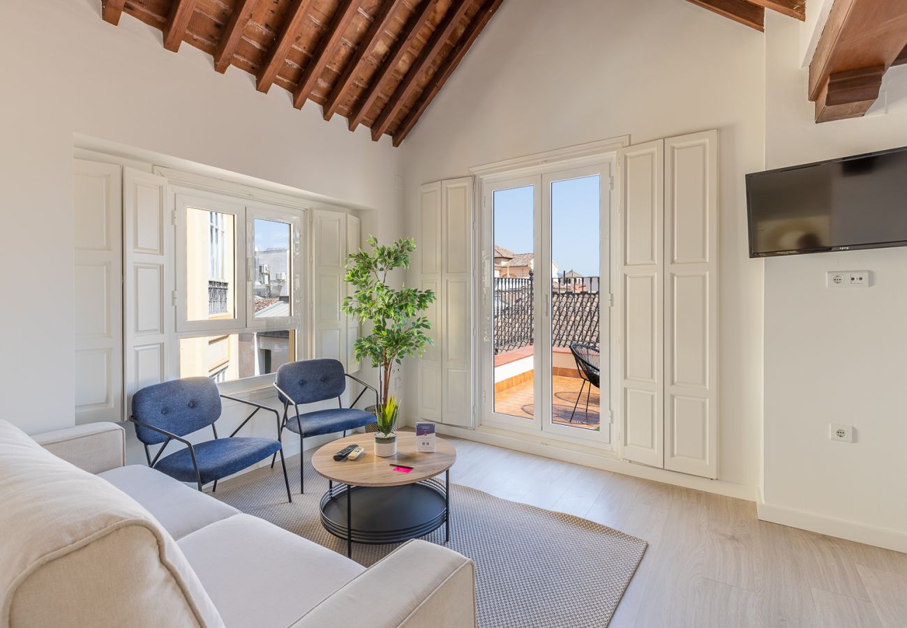 Ferienwohnung in Málaga -  Thyssen Penthouse  with terrace 3A