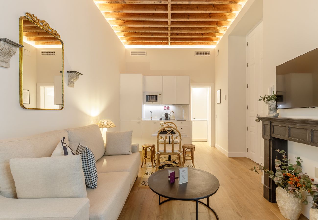 Apartment in Málaga - Palacio Vegafuente 0.3