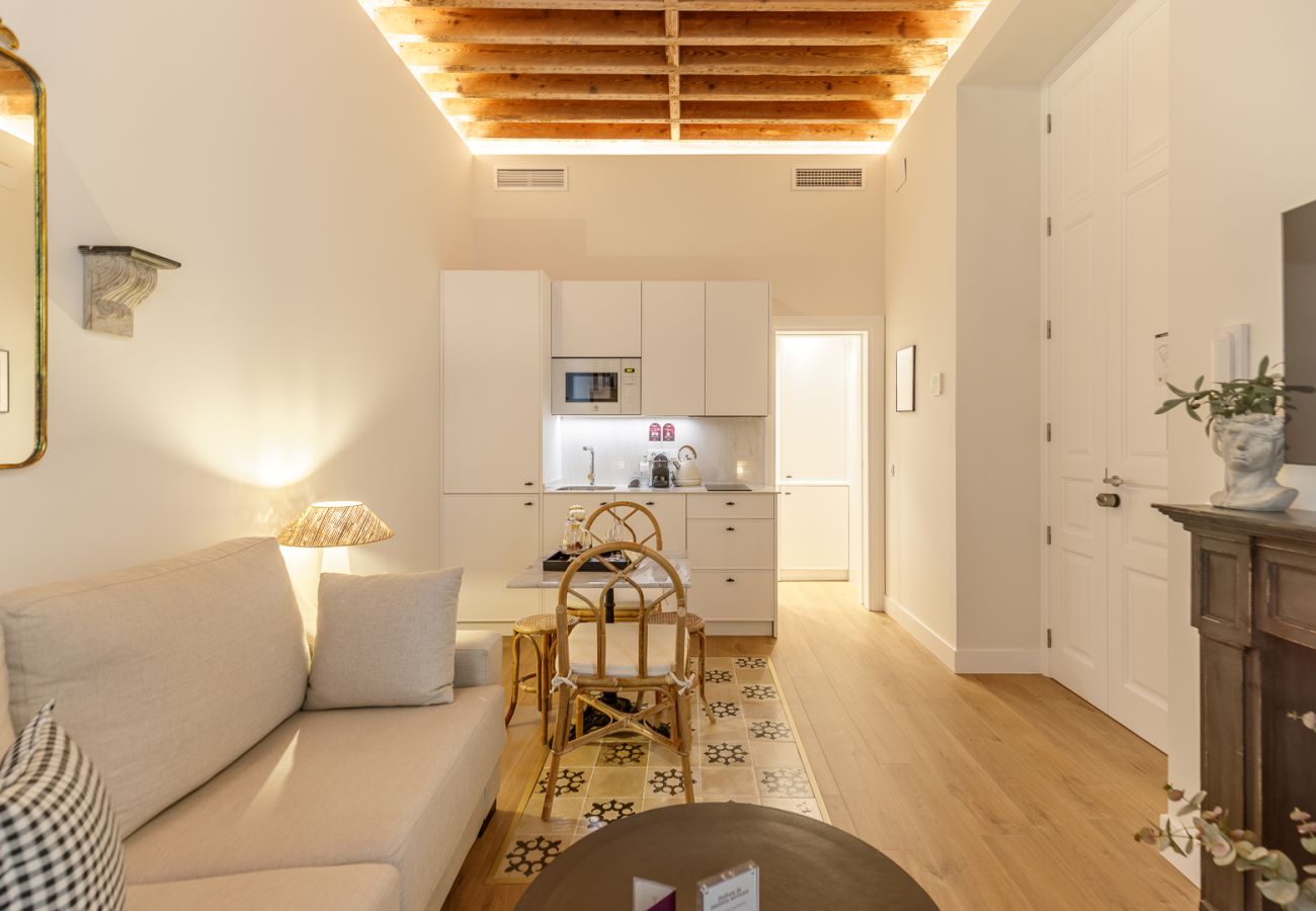 Apartment in Málaga - Palacio Vegafuente 0.3